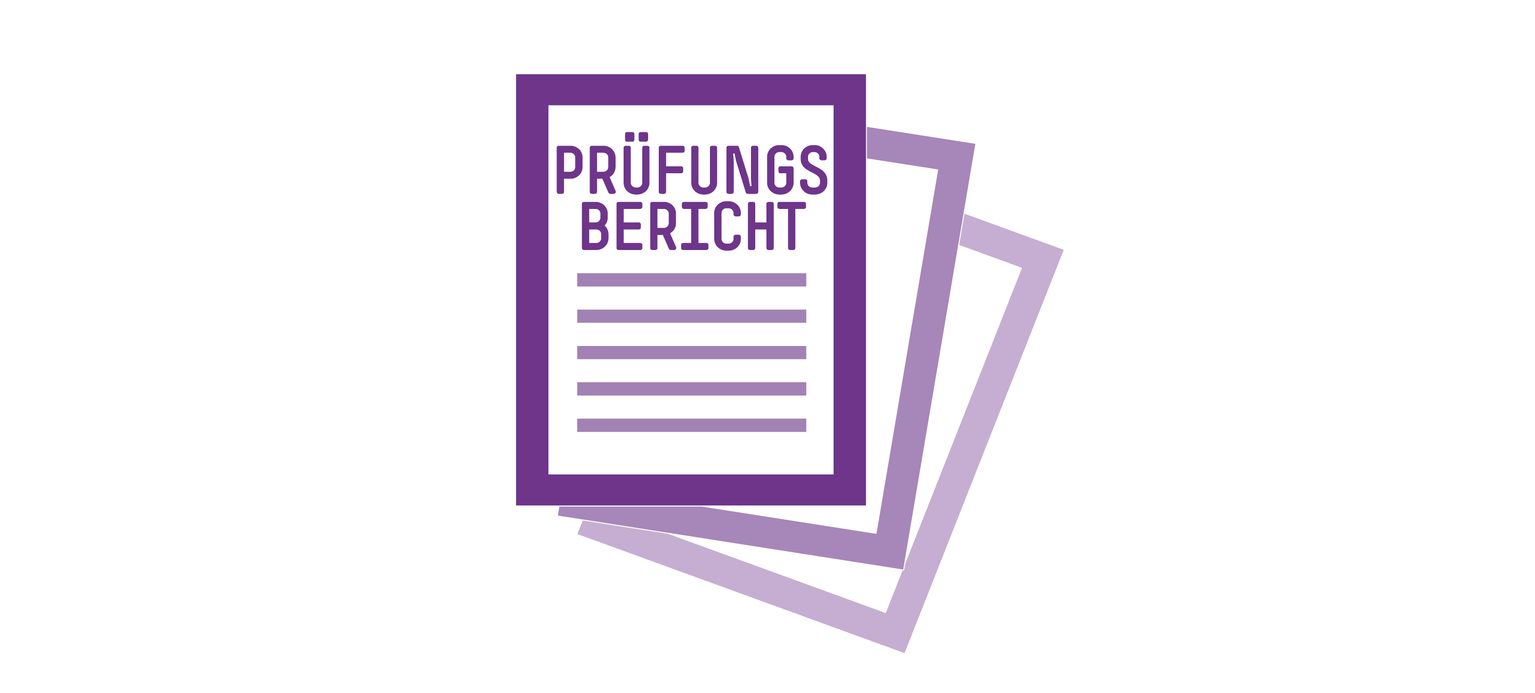Effizienzprüfung