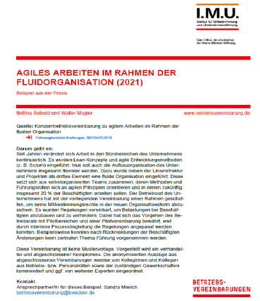 Deckblatt Beispiel aus der Praxis 'Agiles Arbeiten im Rahmen einer Fluidorganisation'
